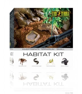 Exo Terra Invertebrate Kit