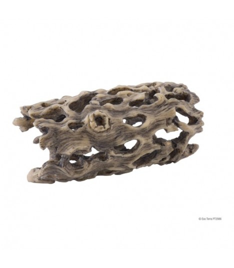 Exo Terra Cholla Cactus Skeleton S