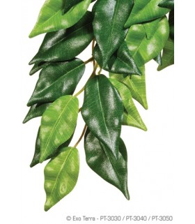Exo Terra Silk Plant Ficus (Hanging)
