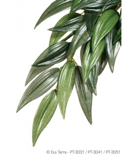 Exo Terra Silk Plant Ruscus (Hanging)