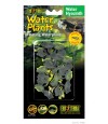 Exo Terra Water Hyacinth (Floating)
