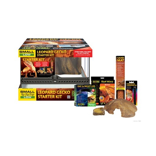 leopard gecko lighting kit