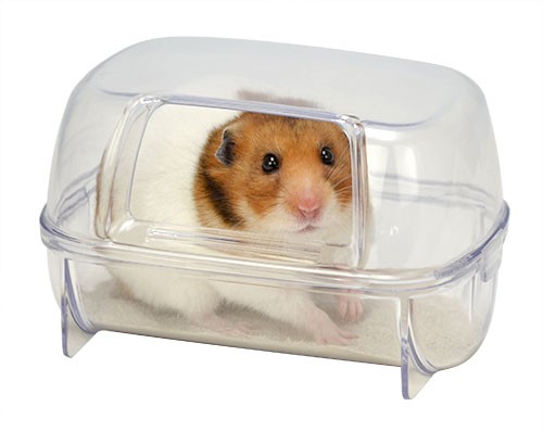 hamster bath house