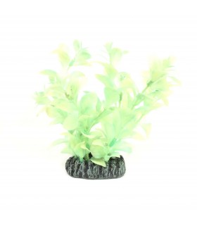 Nisso Luminous Night Plant