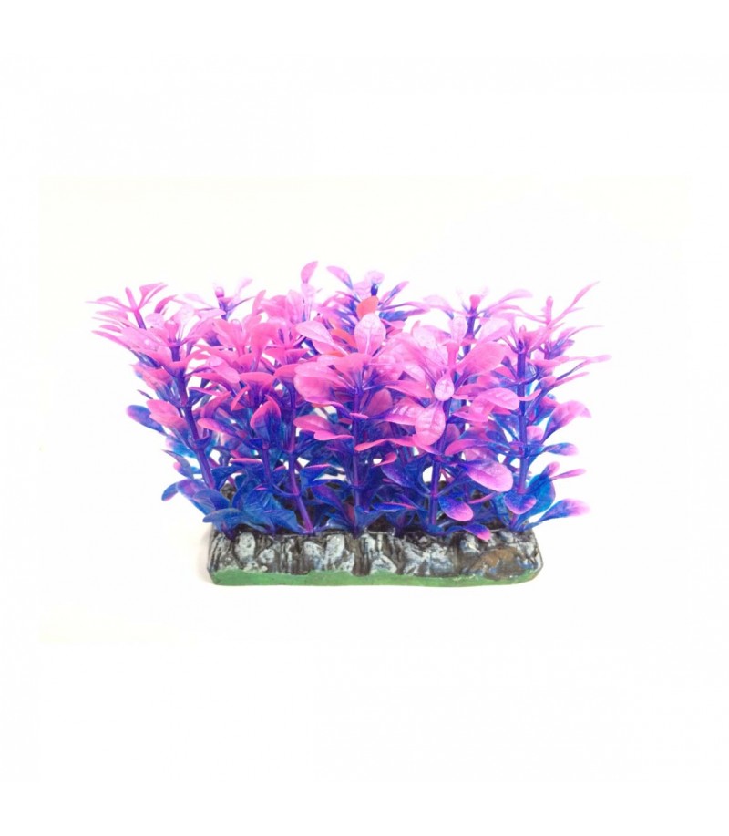 luminous plants luminous plants
