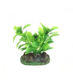 Nisso Aquatic Plants SS1