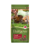 Burgess Excel Rabbit Mature Cranberry & Ginseng 2kg