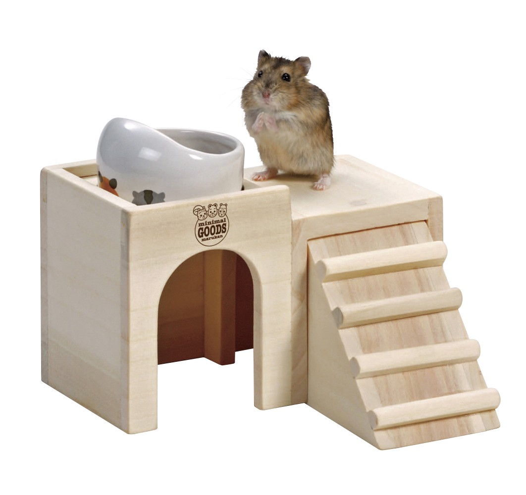 hamster wooden house