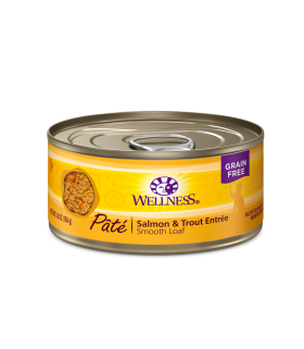 Wellness Complete Health Grain Free Pate - Salmon & Trout for Cat 5.5oz