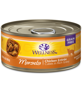 Wellness Morsels Grain Free Chicken Entree for Cat 5.5oz