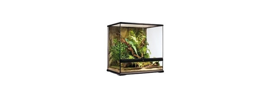 Glass Terrariums