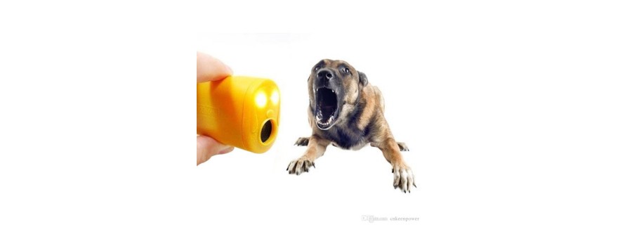 Training & Bark Control