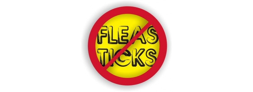 Fleas, Ticks, Dewormer